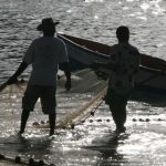 Martinique : pêche à la senne à Anse Dufour