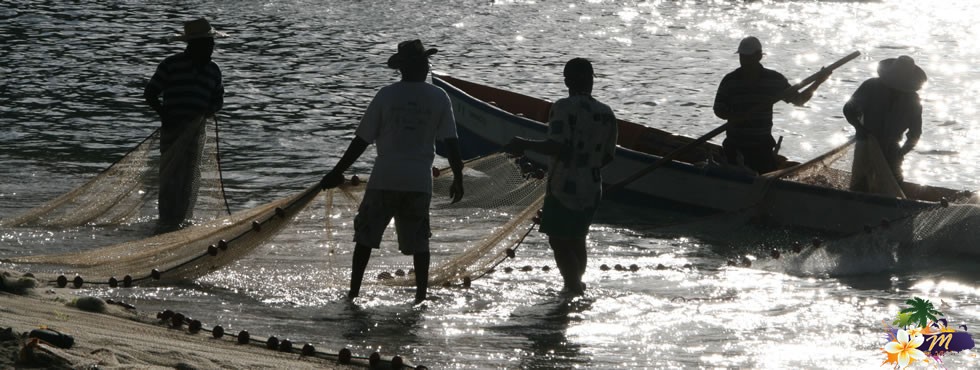 Martinique : pêche à la senne à Anse Dufour