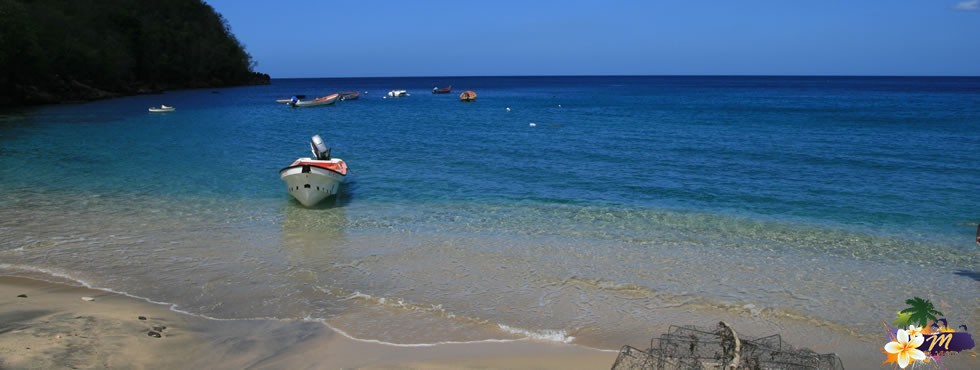 Martinique : Anse Dufour