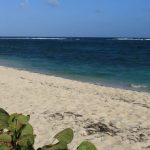 Martinique : Cap Macré