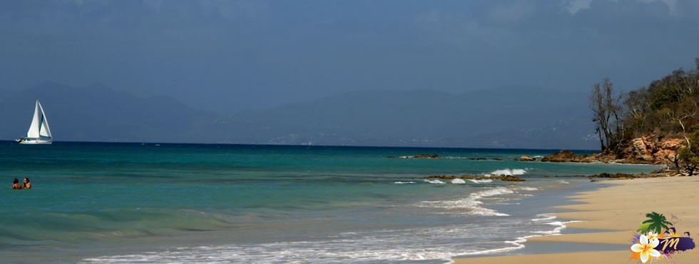 Martinique Anse Meunier