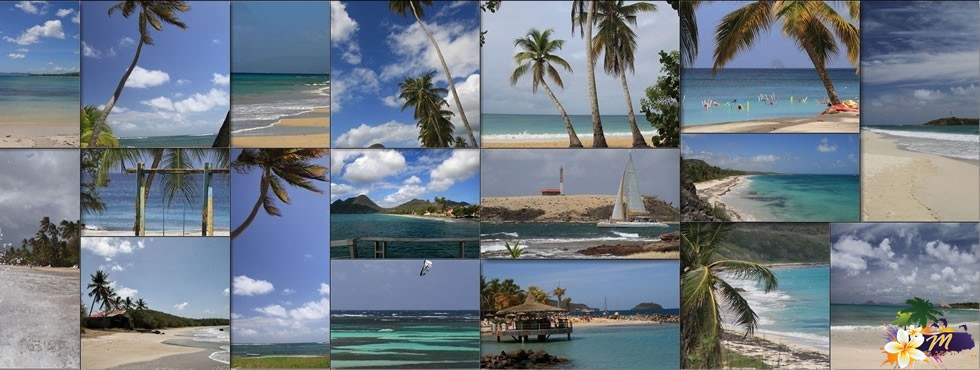 Martinique Madinina