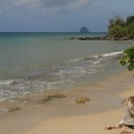 Anse Mabouyas Sainte-Luce Martinique