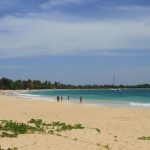 Plage des Salines en Martinique