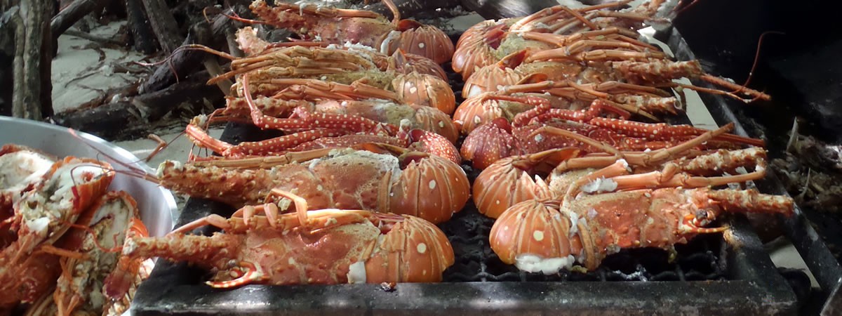 Langoustes